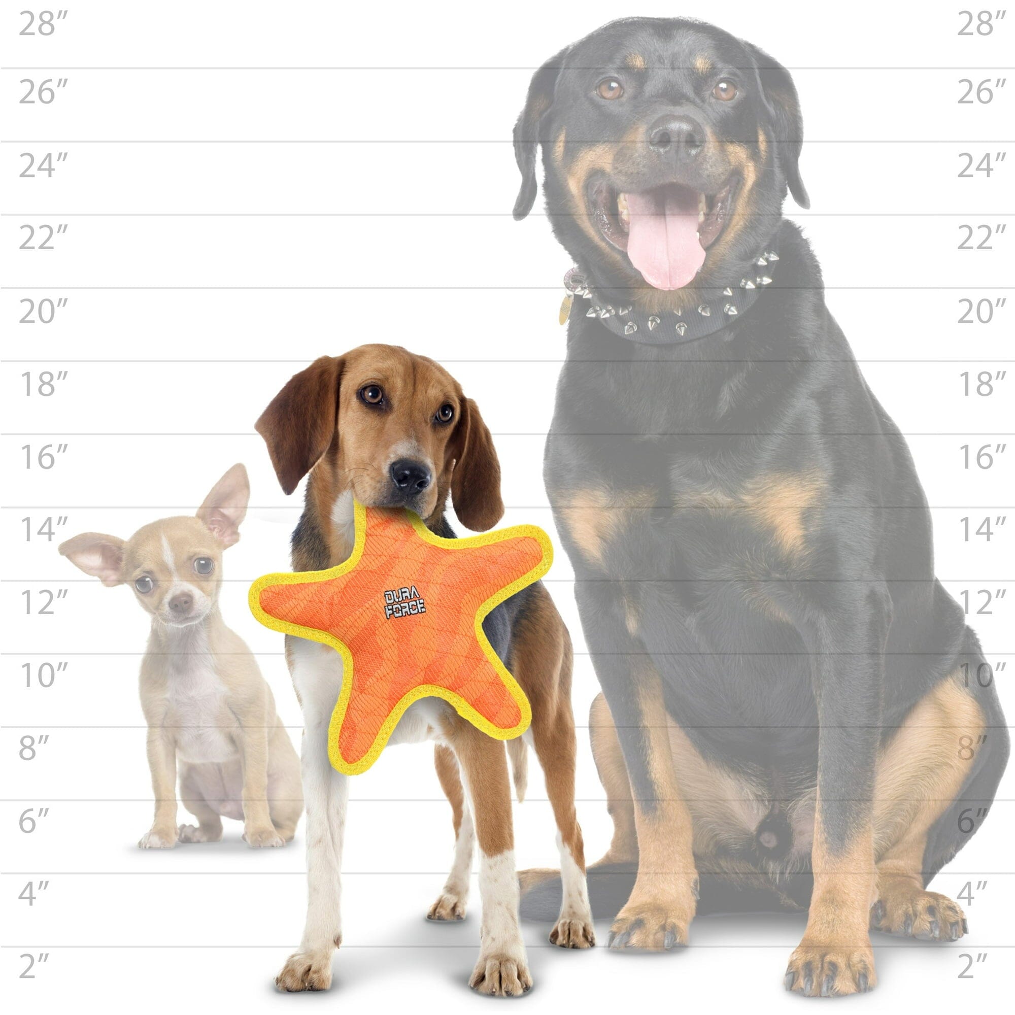 DuraForce Star Tiger Woven Floating and Squeaking Dog Toy - Orange/Yellow