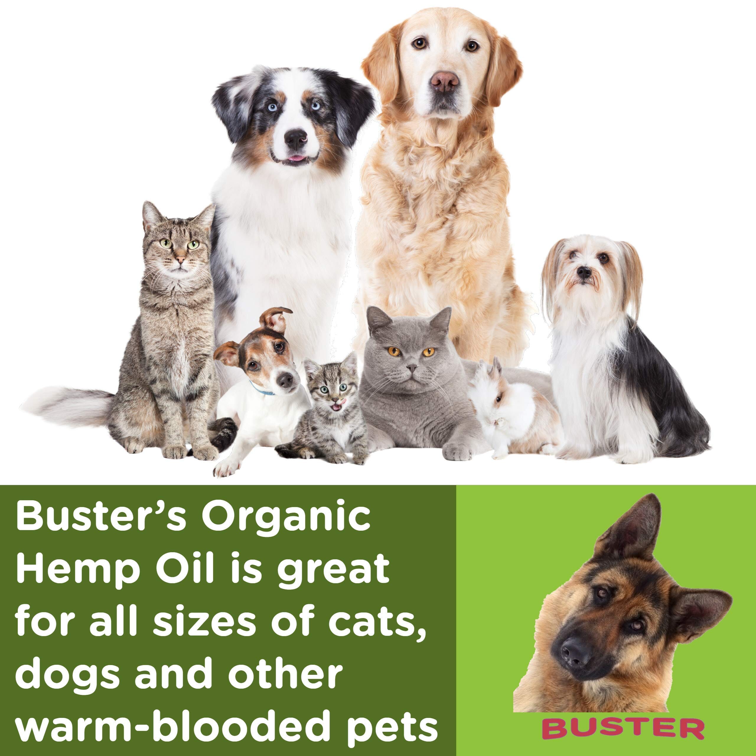 Earth Buddy Cellular Hemp Extract Dog Supplement 500MG - 30ML  