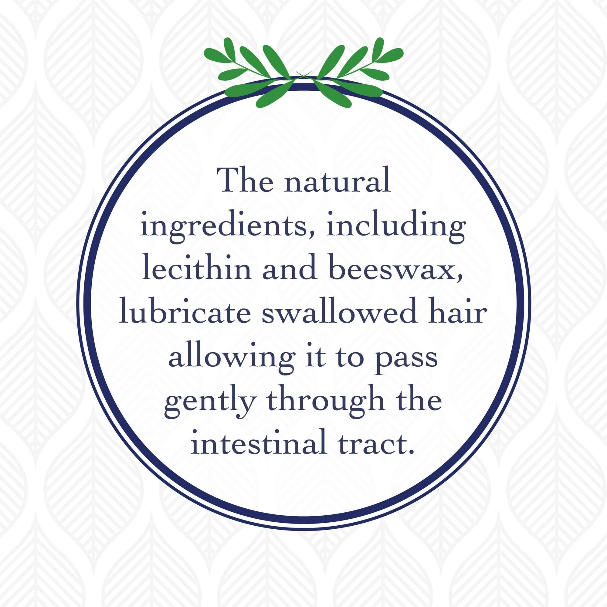 Synergy Labs Richard's Organics Hairball Lubricating Remedy Tuna Flavored Nutrient Paste First-Aid Cat Remedy - 4.25 Oz