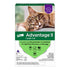 Elanco Advantage II Large Cat 2-Month Dose Flea and Tick Spot-on Treatment - 9+ Lbs - Purple - 6 Pack