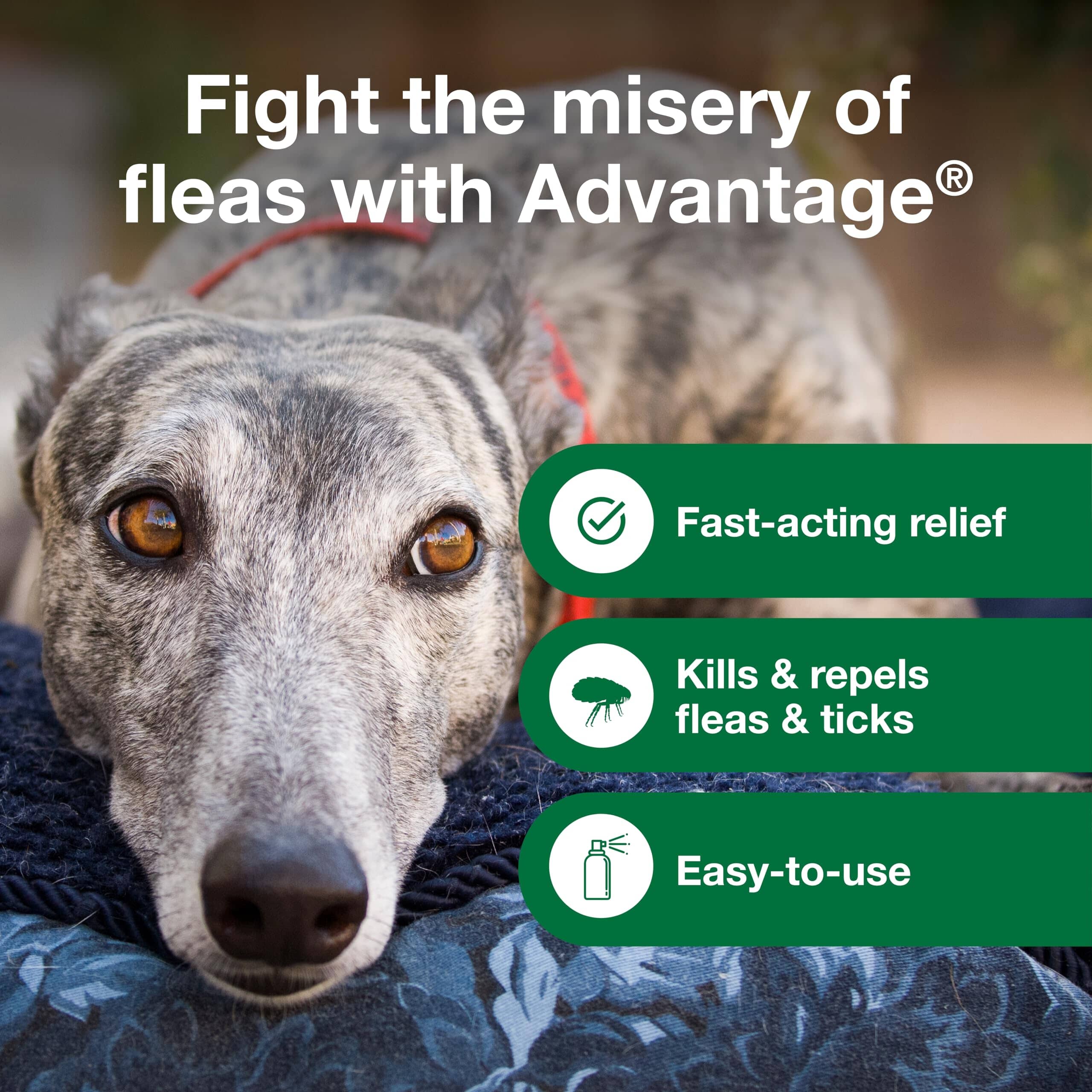 Elanco Advantage Flea and Tick Dog Spray for Adults and Puppies over 6 Months