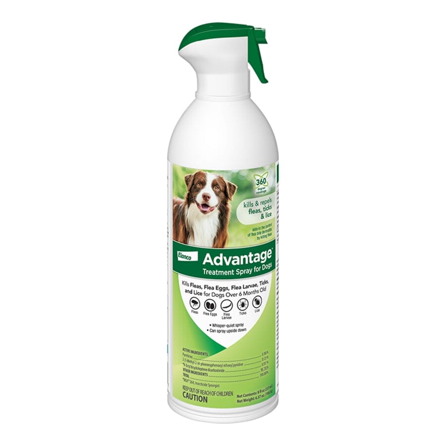 Elanco Advantage Flea and Tick Dog Spray for Adults and Puppies over 6 Months