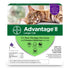 Elanco Advantage II Large Cat 1-Month Dose Spot-on Flea and Tick Treatment - 9+ Lbs - Purple 