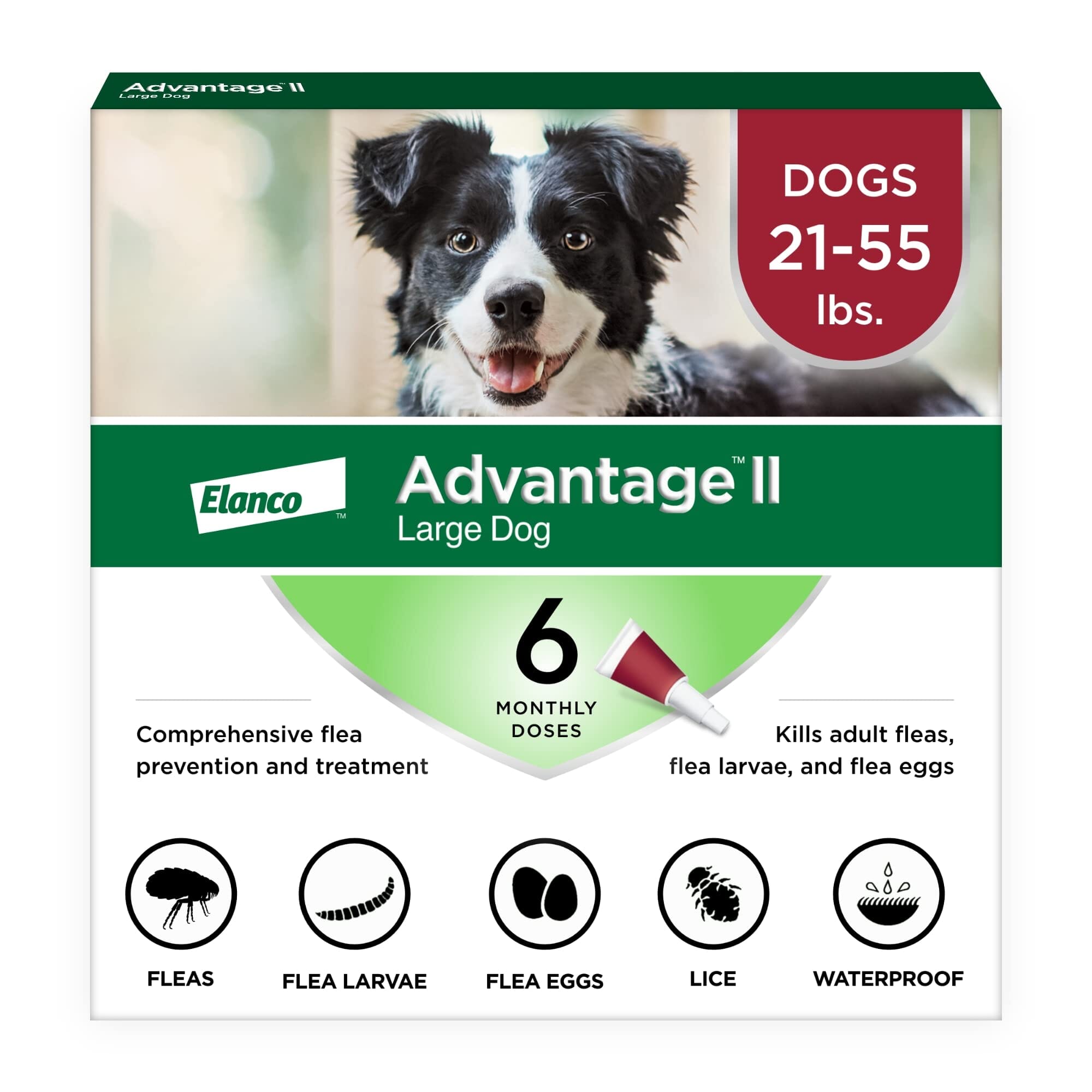 Elanco Advantage II Large Dog 6-Month Dose Flea and Tick Spot-on Treatment - 21-55 Lbs - Red - 6 Pack