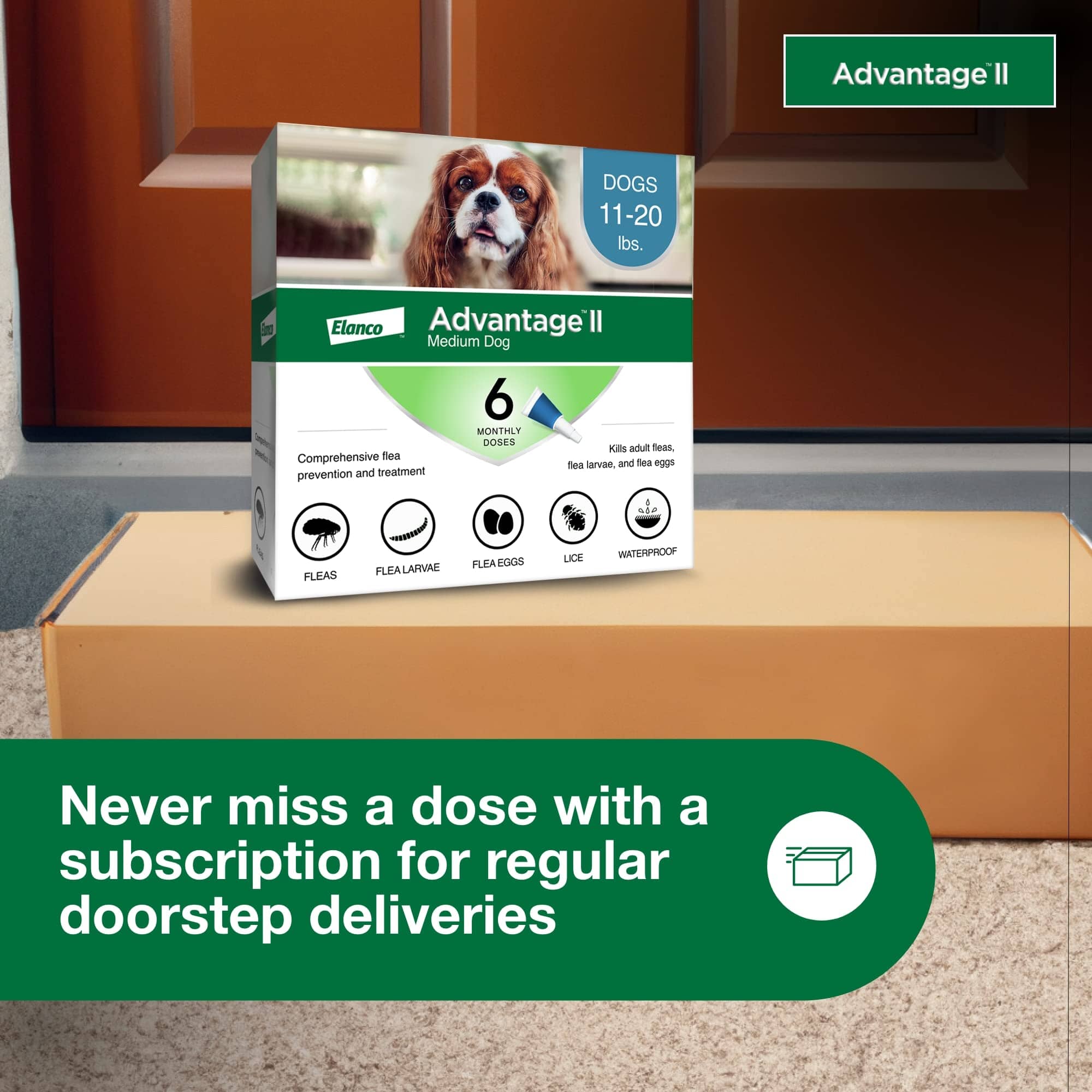 Elanco Advantage II Medium Dog 6-Month Dose Flea and Tick Spot-on Treatment - 11-20 Lbs - Teal -  6 Pack