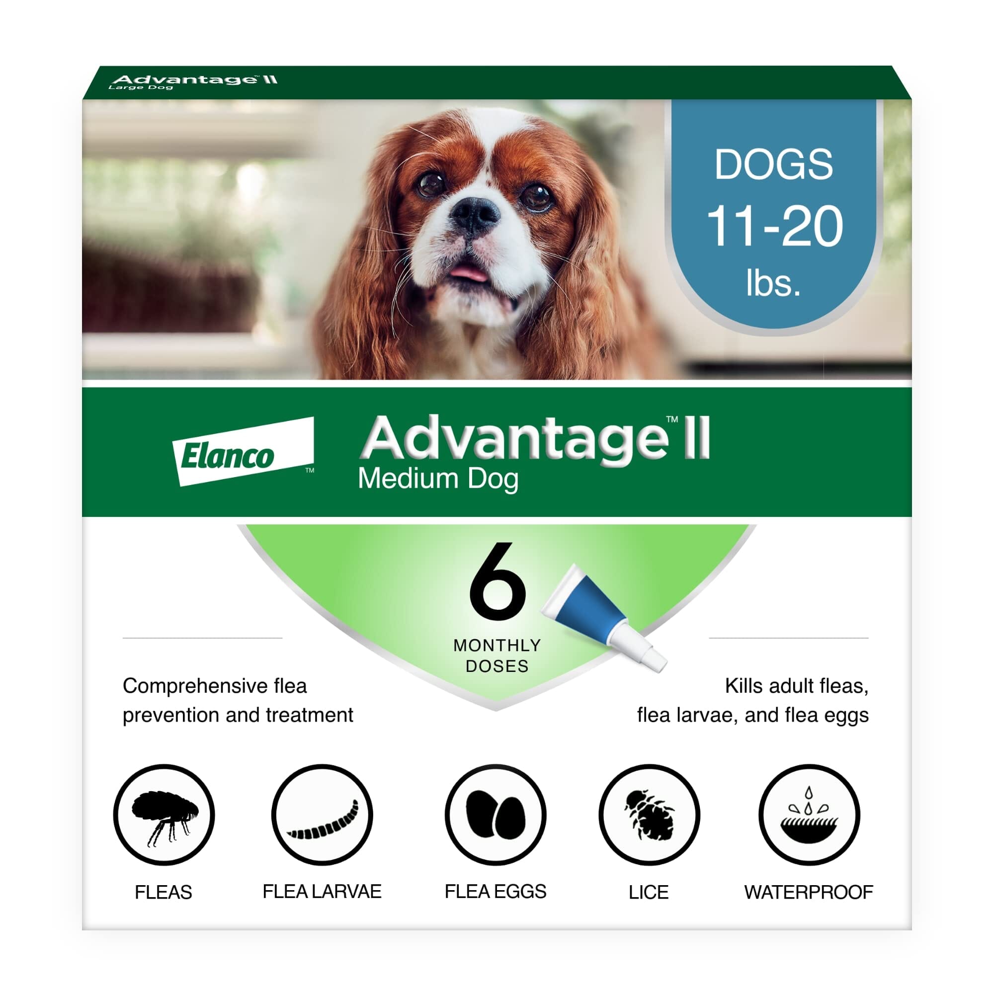 Elanco Advantage II Medium Dog 6-Month Dose Flea and Tick Spot-on Treatment - 11-20 Lbs - Teal -  6 Pack