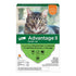 Elanco Advantage II Small Cat 2-Month Dose Flea and Tick Spot-on Treatment - 5-9 Lbs - Orange - 6 Pack