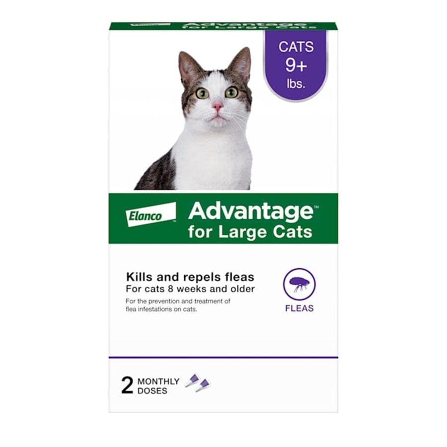 Elanco Advantage Large Cat 2-Month Dose Spot-on Topical Flea and Tick Treatment -  9+ Lbs - 2 Pack