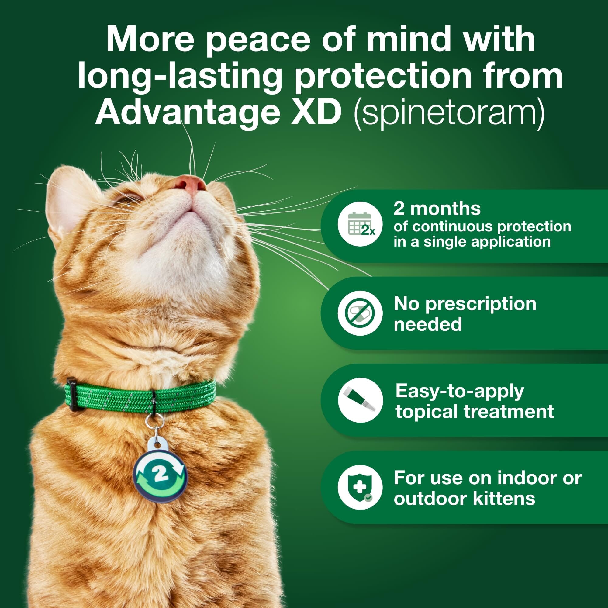 Elanco Advantage XD Extended Small Cat 2-Month 1-Dose Flea and Tick Spot-on Treatment - 1.8-9Lbs
