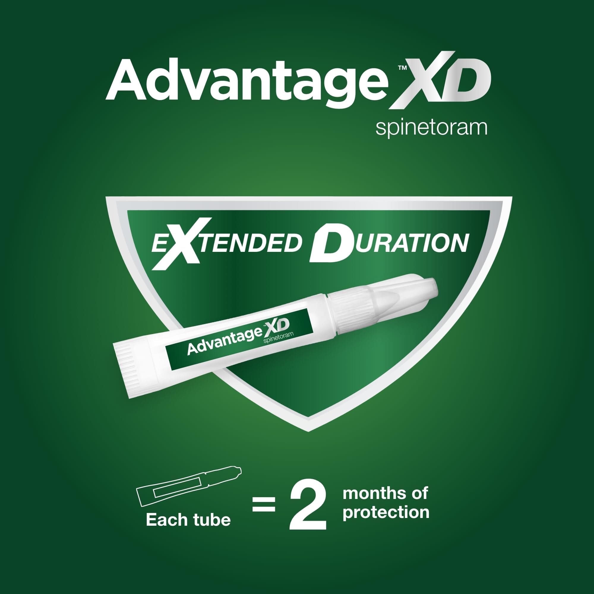 Elanco Advantage XD Extended Small Cat 4-Month 2-Dose Flea and Tick Spot-on Treatment - 1.8-9Lbs - 2 Pack