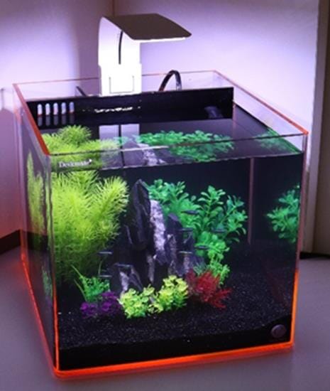 EShopps Deskmate Acrylic Aquarium Kit with LED Light - 3.8 Gal  