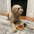 Ethical SPOT Dura-Fused Colors Natural Leather and Jute Parrot Squeak Chew Dog Toy - 8 Inch