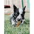 Ethical SPOT Love The Earth 100% Natural Coffee Wood Chew Dog Toy