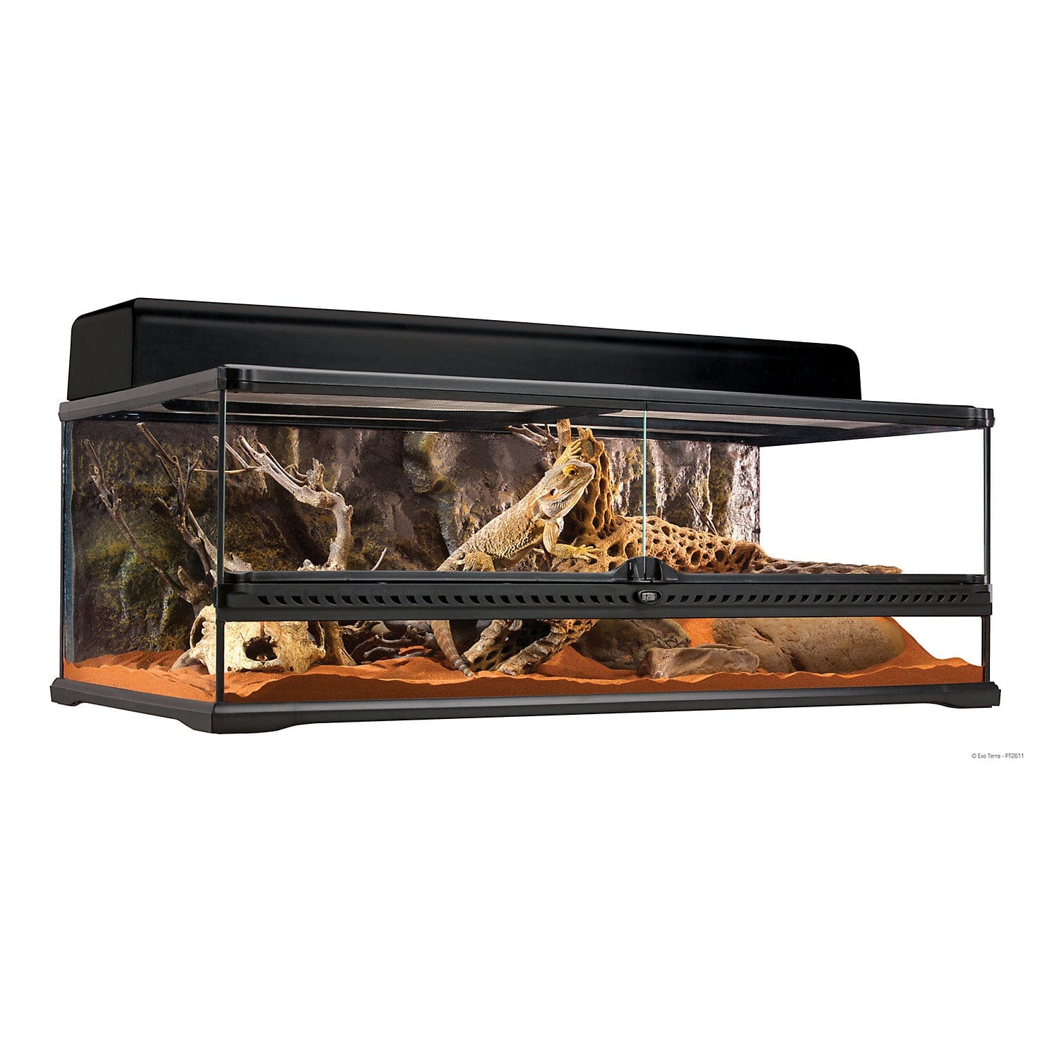 Exo Terra All-Glass Dual-Door Low and Wide Profile Terrarium Large - L:36 X W:18 X H:12 In