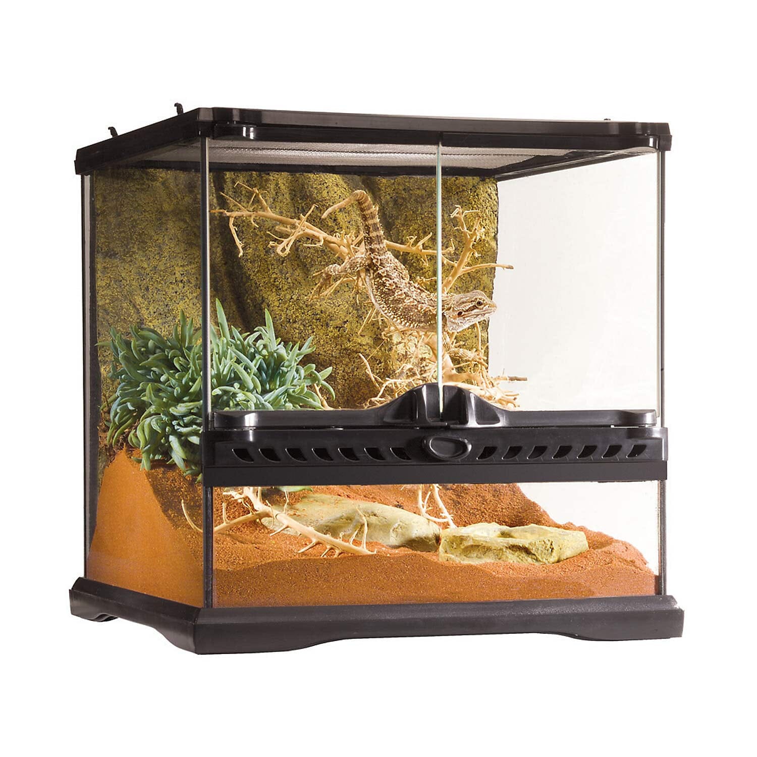 Exo Terra All-Glass Dual-Door Wide Terrarium Mini - L:12 X W:12 X H:12 In
