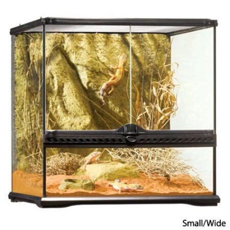 Exo Terra All-Glass Dual-Door Wide Terrarium Small - L:18 X W:18 X H:18 In