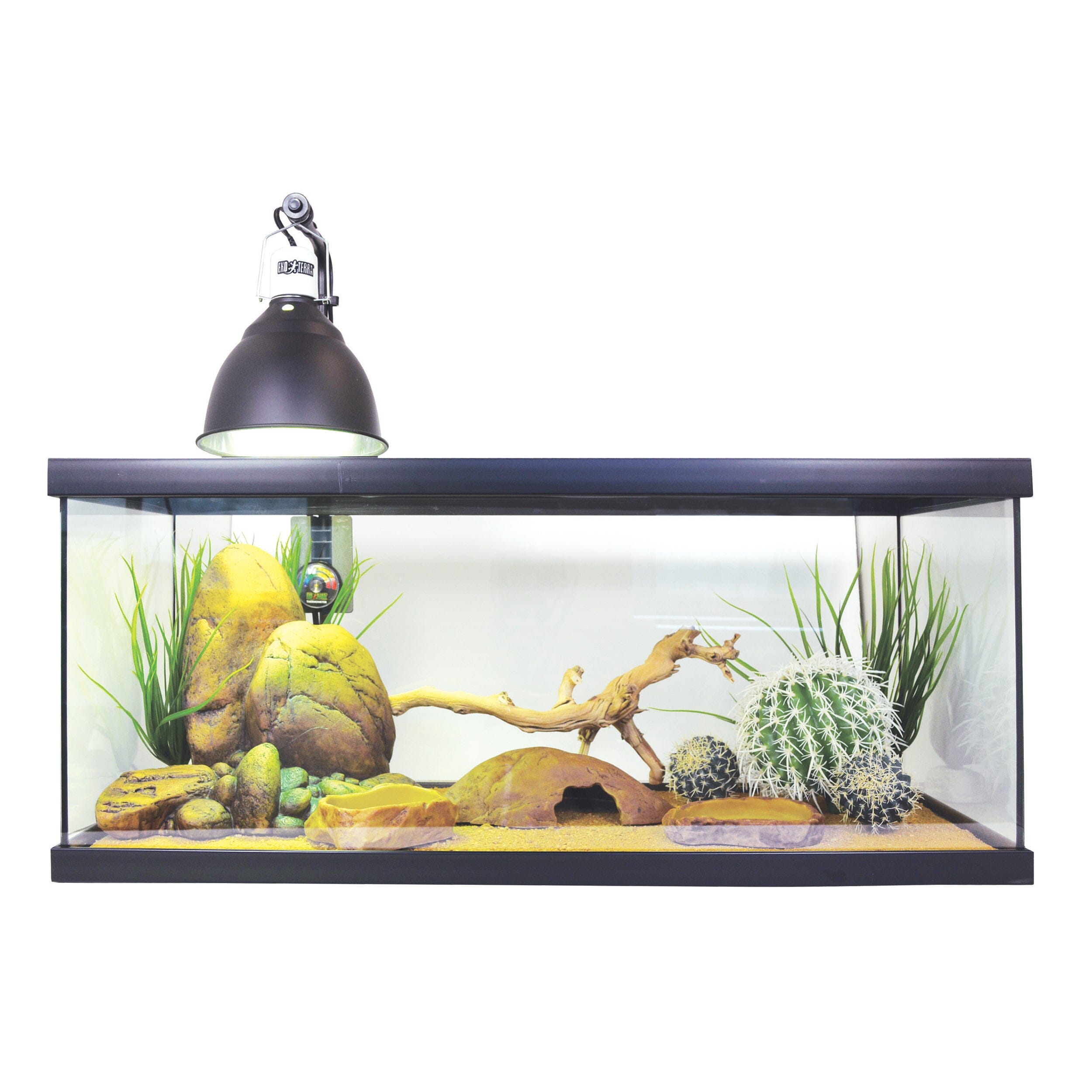 Exo Terra Bearded Dragon Starter Kit - 20 Gallon Default Title