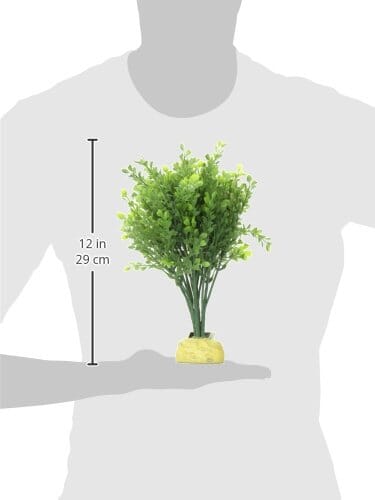 Exo Terra Boxwood Bush Aquarium and Terrarium Décor Plant 