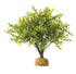 Exo Terra Boxwood Bush Aquarium and Terrarium Décor Plant Default Title