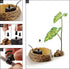 Exo Terra Dripper Plant Terrarium Reptile Décor