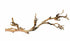 Exo Terra Forest Branch Reptile Terrarium and Aquarium Décor Large