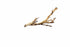 Exo Terra Forest Branch Reptile Terrarium and Aquarium Décor Small