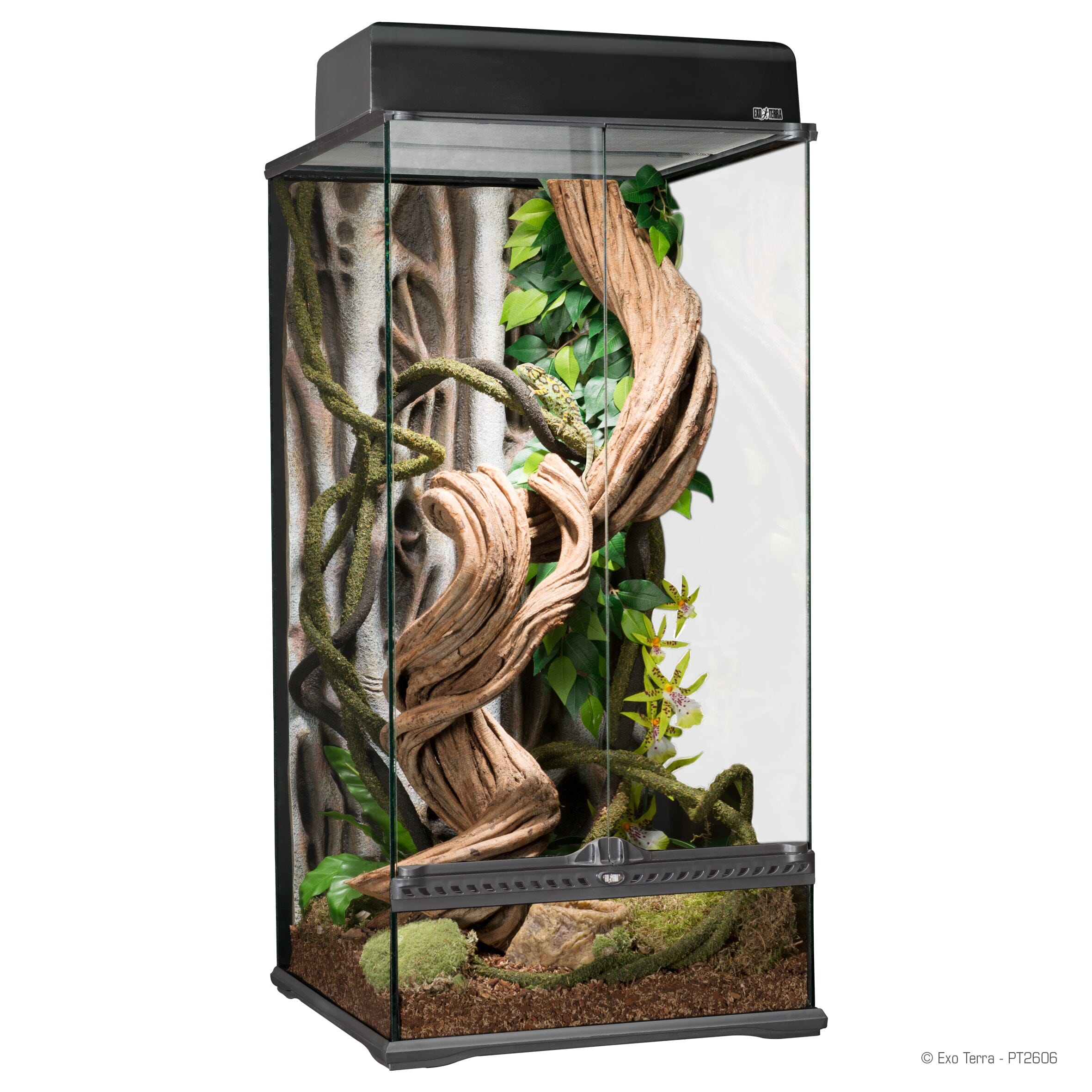 Exo Terra Glass Dual-Door Small Wide Terrarium - L:12 X W:12 X H:12 Inches Default Title