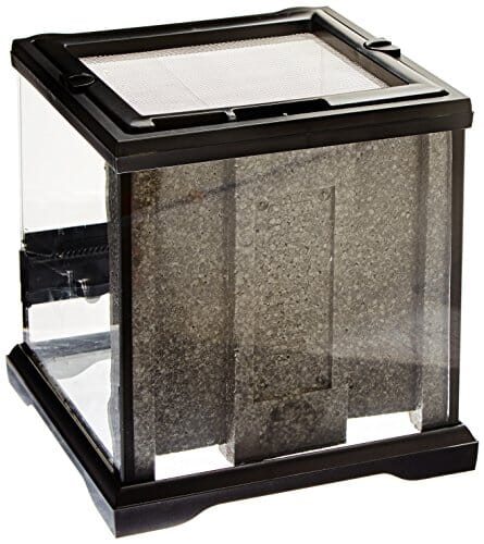 Exo Terra Glass Single-Hinge Nano Terrarium - L:8 X W:8 X H:8 Inches