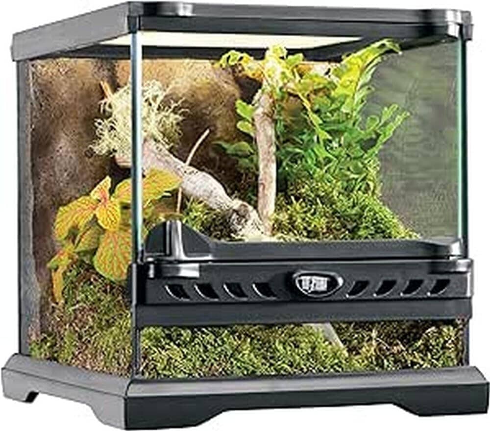 Exo Terra Glass Single-Hinge Nano Terrarium - L:8 X W:8 X H:8 Inches