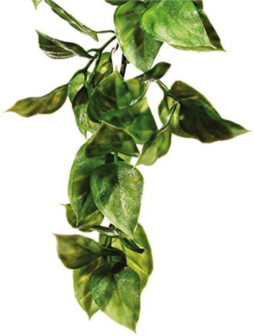 Exo Terra Jungle Amapallo Plastic Reptile Terrarium Plant Large