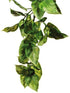 Exo Terra Jungle Amapallo Plastic Reptile Terrarium Plant Large
