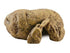 Exo Terra Reptile Cave Terrarium Décor Ornament Small