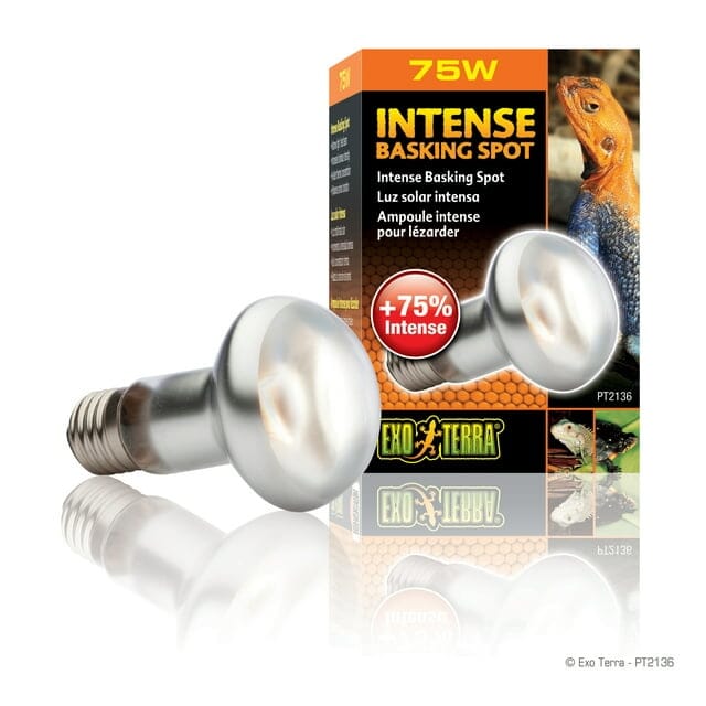 Exo Terra Sun-Glo Intense Infrared Basking Reptile Spot Lamp - 120V 75 Watt