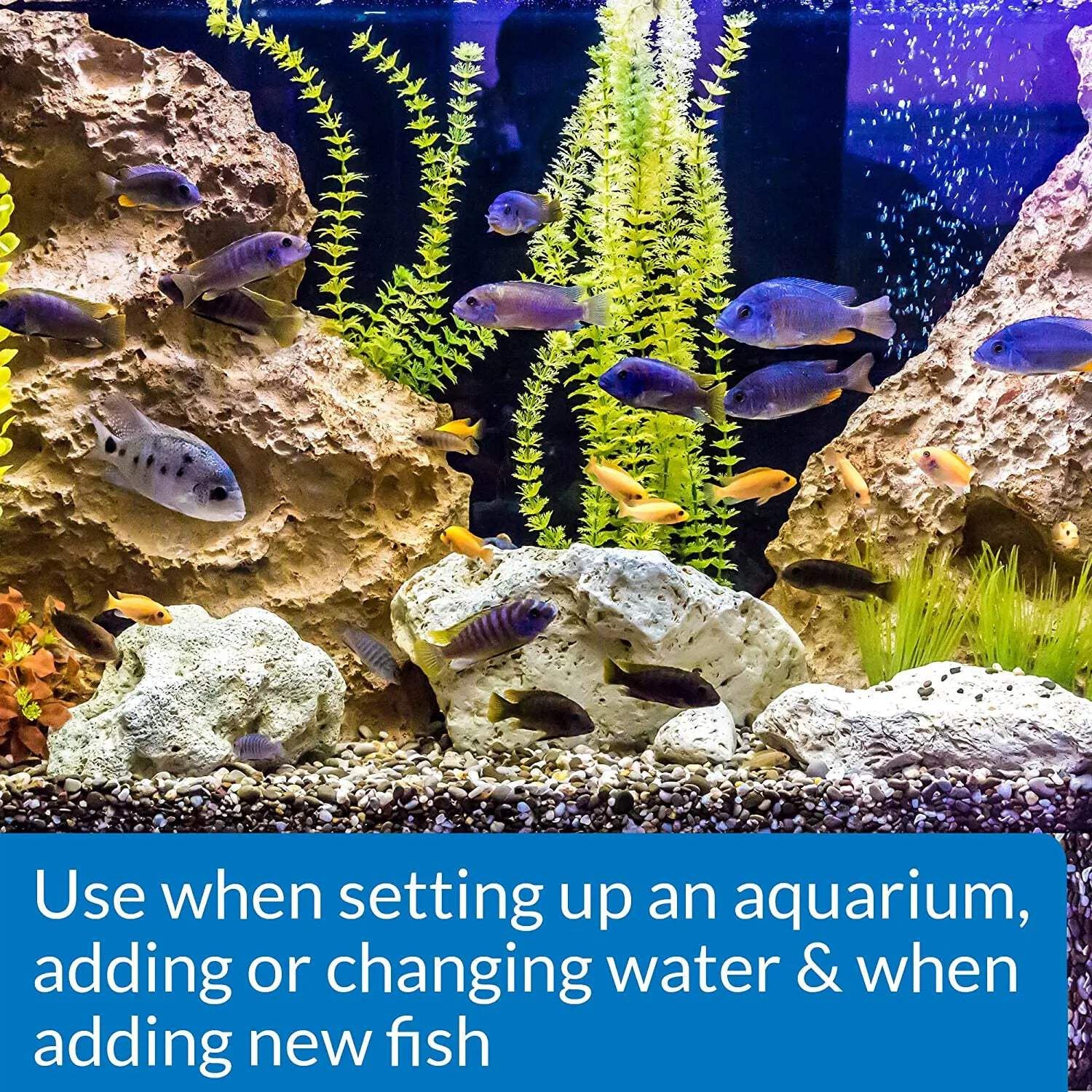 API Stress Coat Aquarium Water Conditioner with Pump - 16 Oz