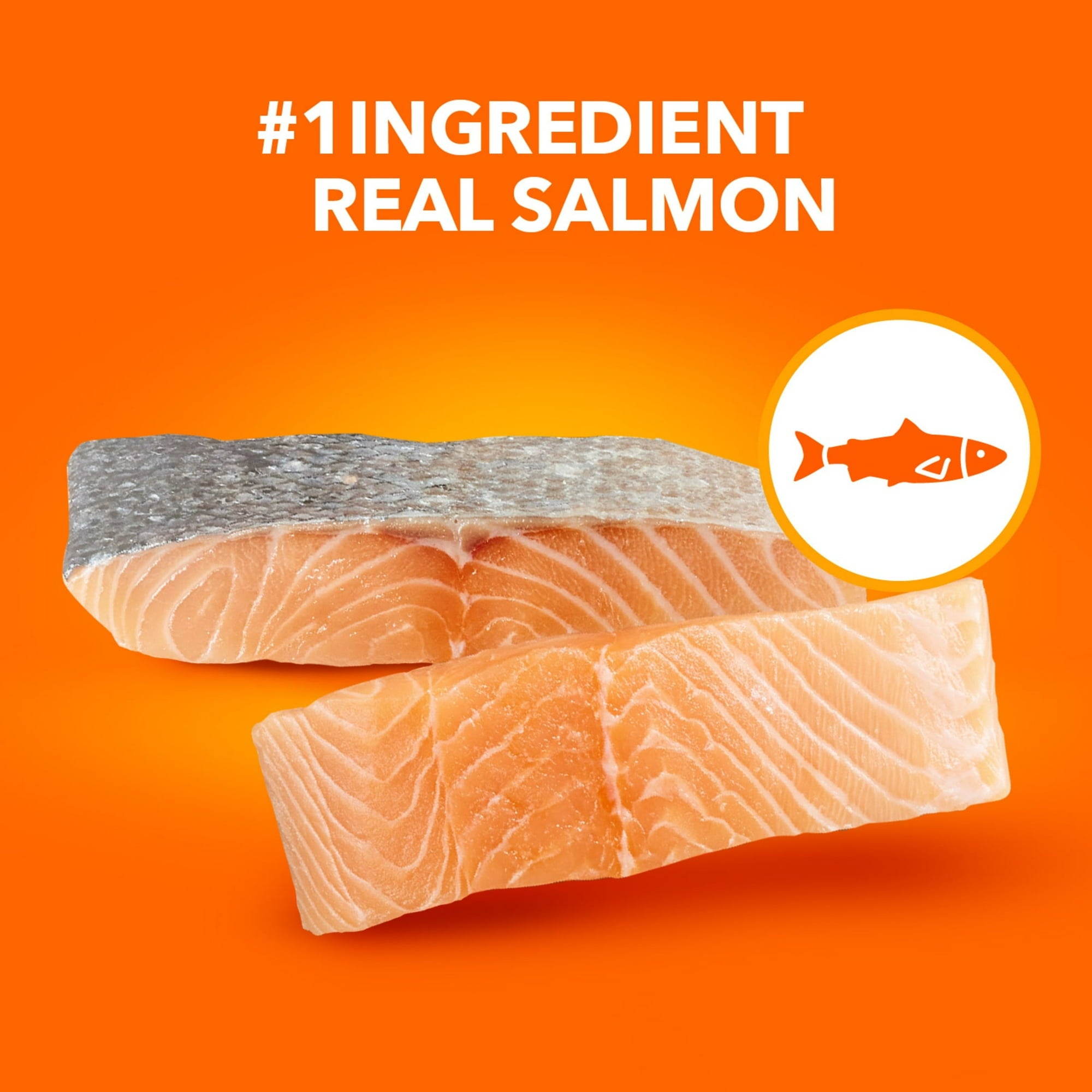 IAMS ProActive Health Healthy Adult Original Salmon and Tuna Dry Cat Food - 7 Lbs