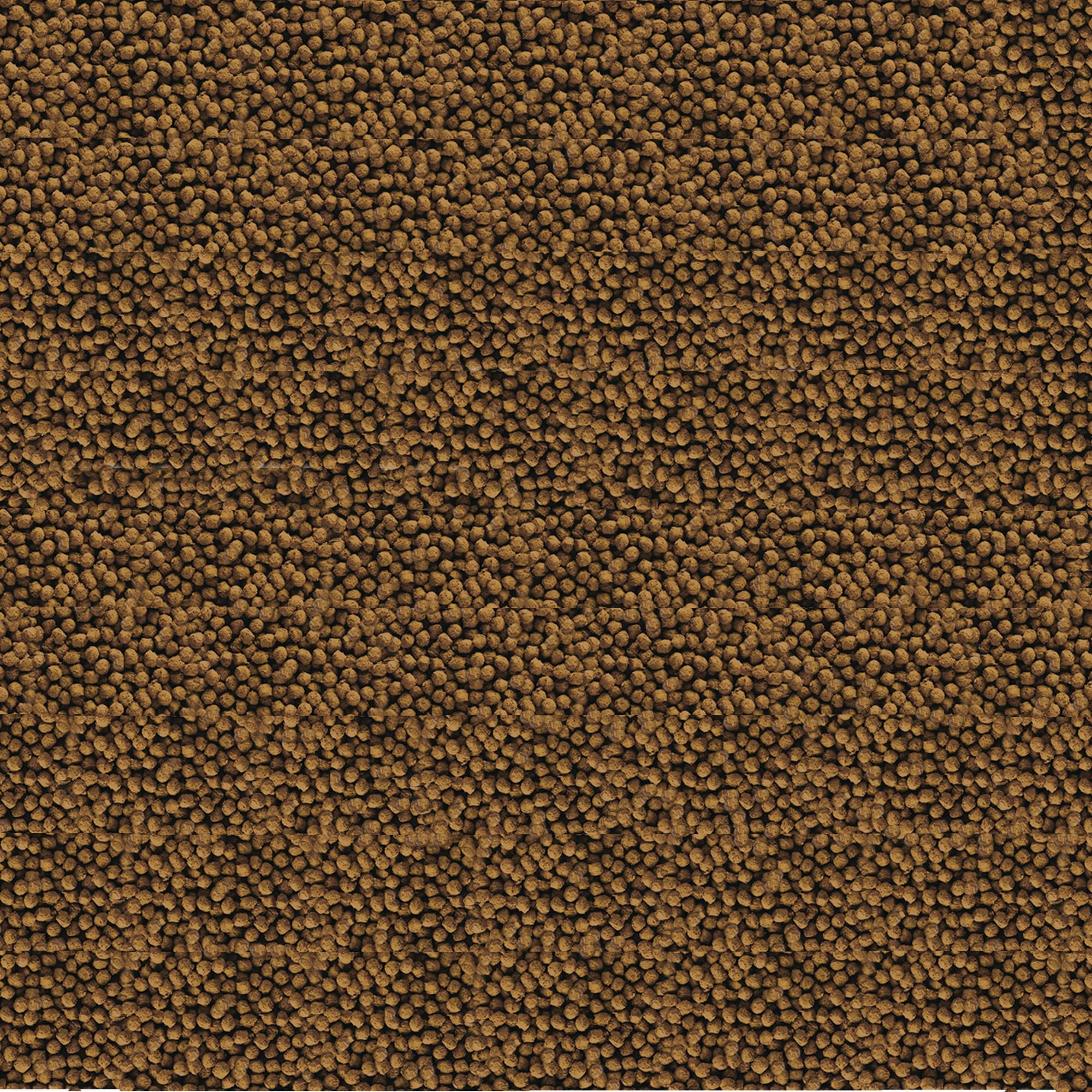 API Goldfish Pellets Freshwater Fish Food