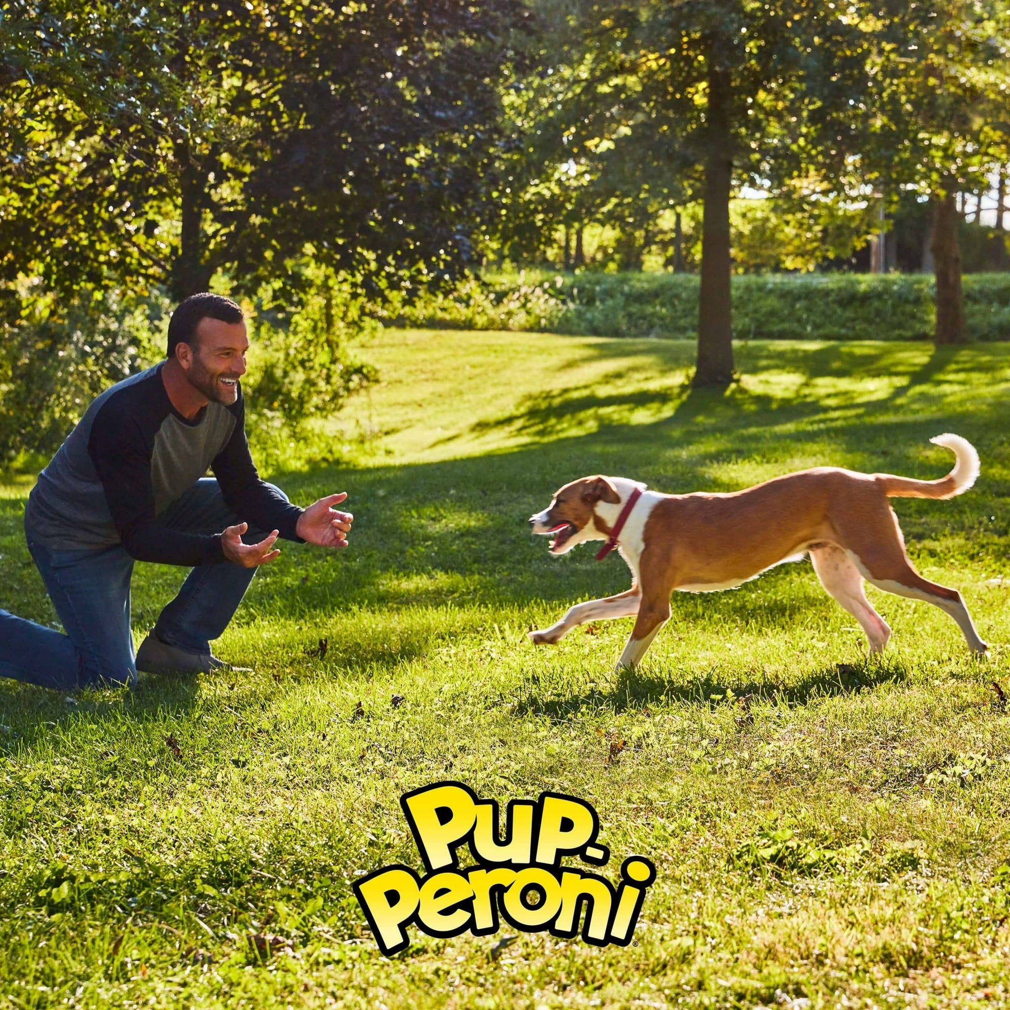 Pup-Peroni Prime Rib Steak Flavor Slow-Cooked Soft and Chewy Dog Treats - 35 Oz