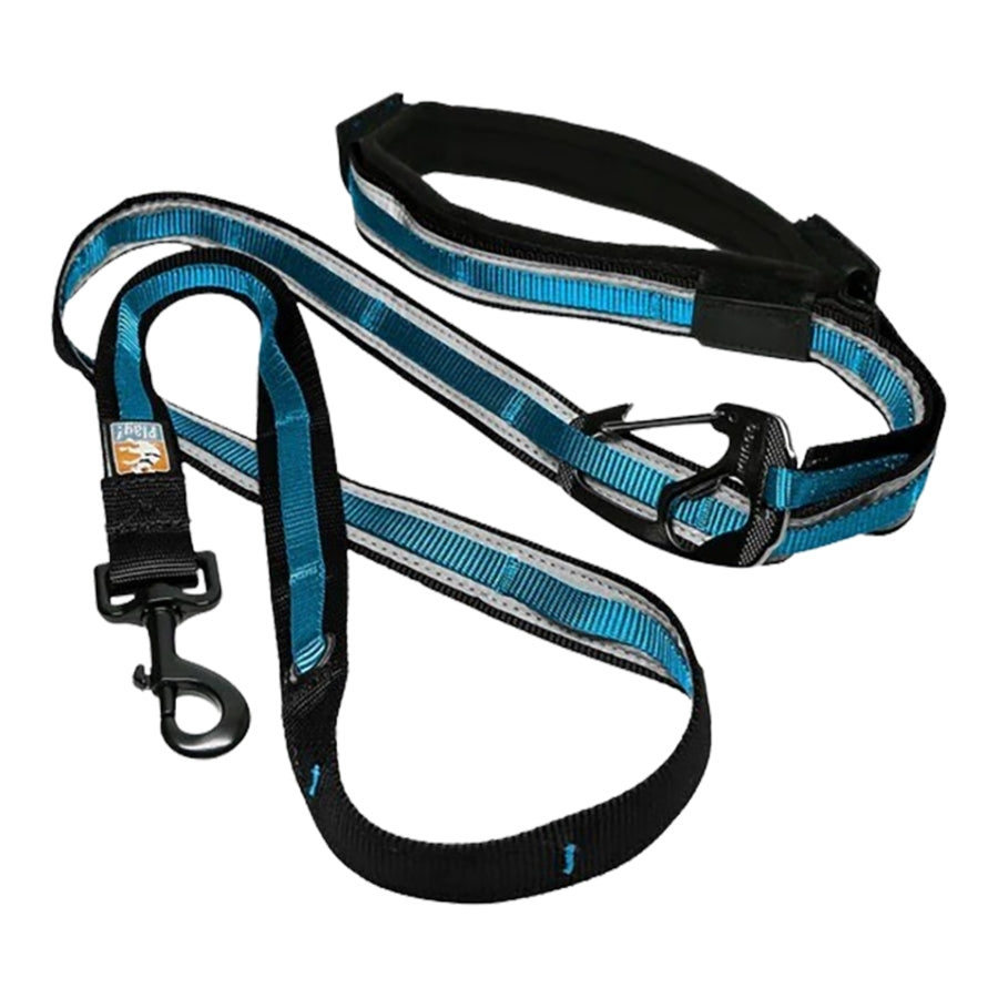 Kurgo Quantum 6-in-1 Padded Reflective and Hands-Free Waist Dog Leash