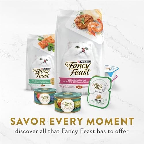 Fancy Feast Classic Broths with Wild Salmon & Vegetables Supplemental Cat Food Pouches  