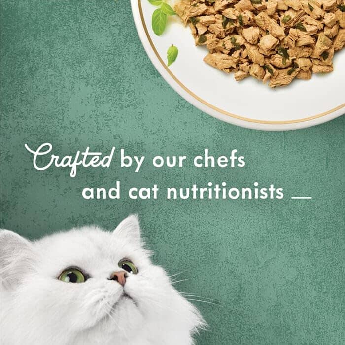 Fancy Feast Elegant Medleys Shredded Chicken Canned Cat Food  