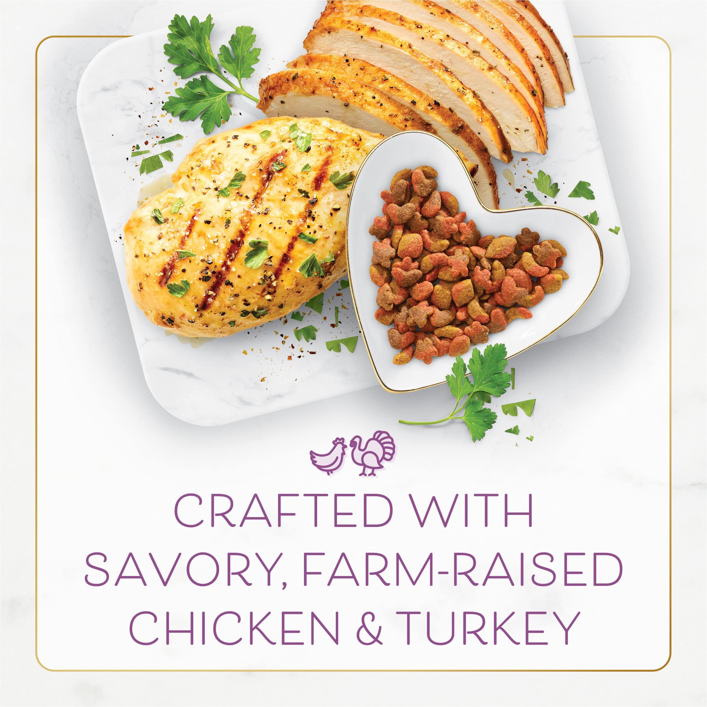 Fancy Feast Gourmet Savory Chicken and Turkey Gourmet Dry Cat Food  