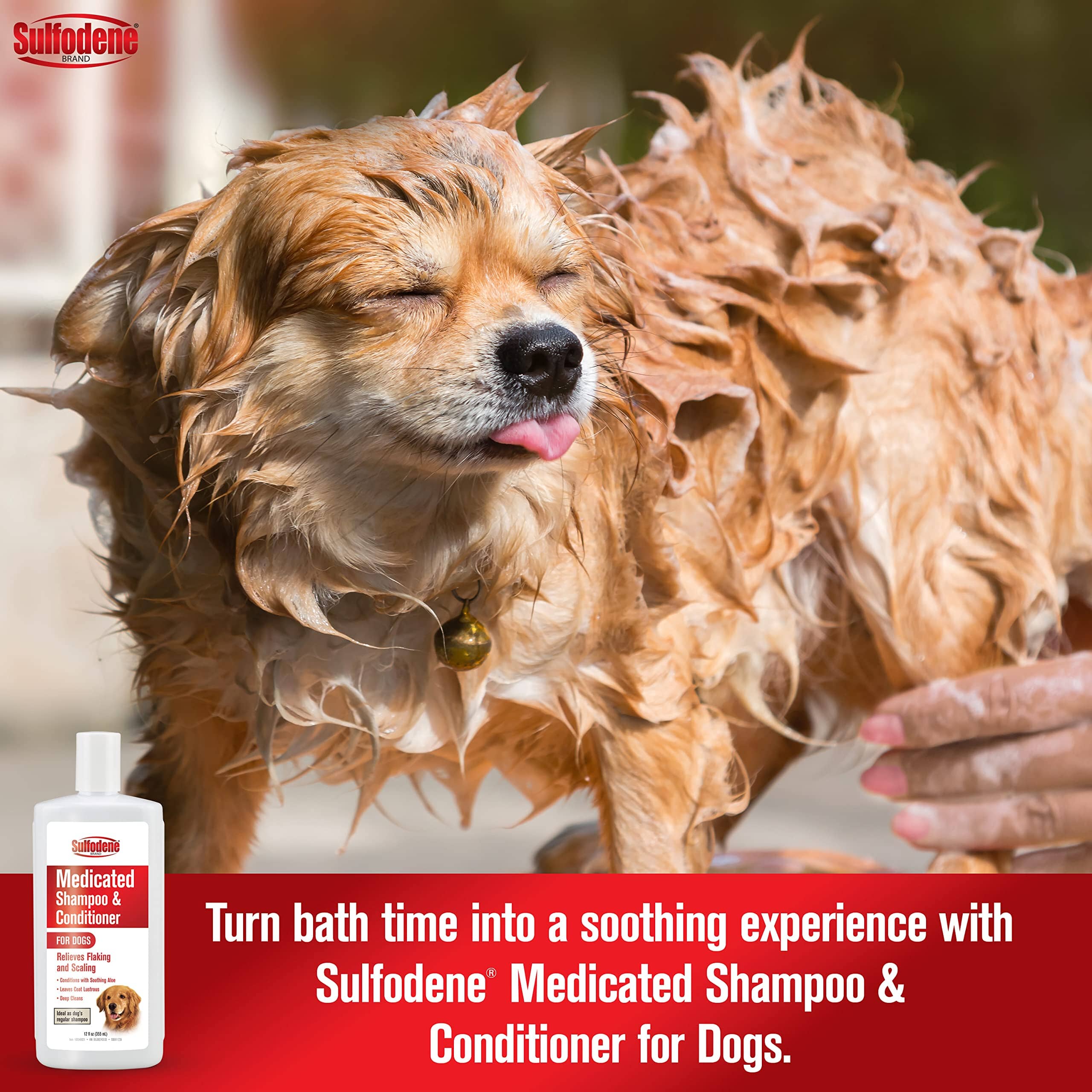 Farnam Sulfodene Medicated Dog Shampoo and Conditioner - 12 Oz  