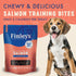 Finley's Trainer Bites Salmon Soft Chew Dog Training Treats  