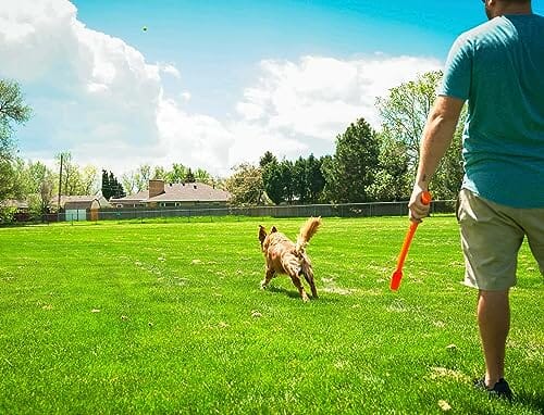 Flingerz Fling and Fetch Launcher Interactive Dog Toy with Nylon Squeaking Lady Bug 