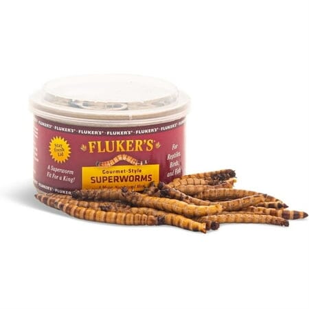 Fluker's Gourmet Style Canned Superworms for Bird Fish and Reptile Food - 1.2 Oz Default Title