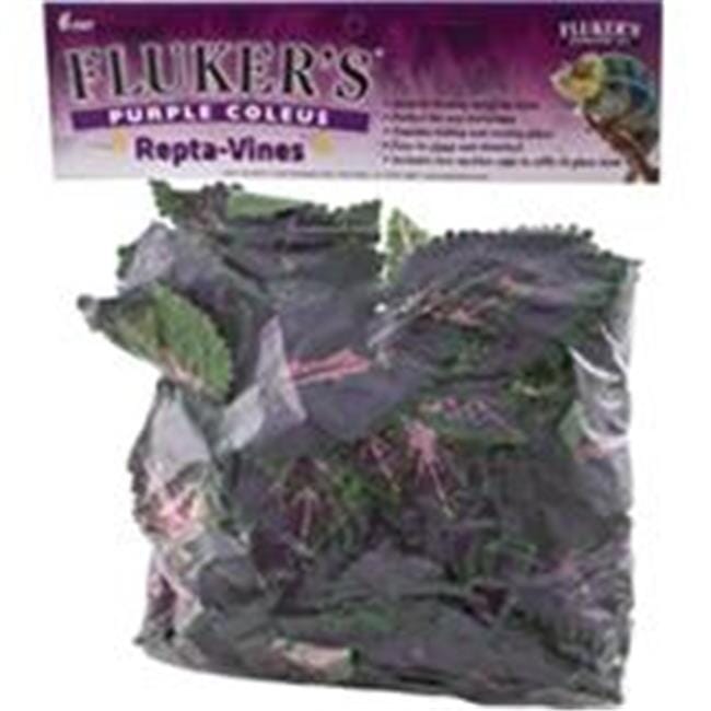 Fluker's Repta-Vines - Purple Coleus - 6