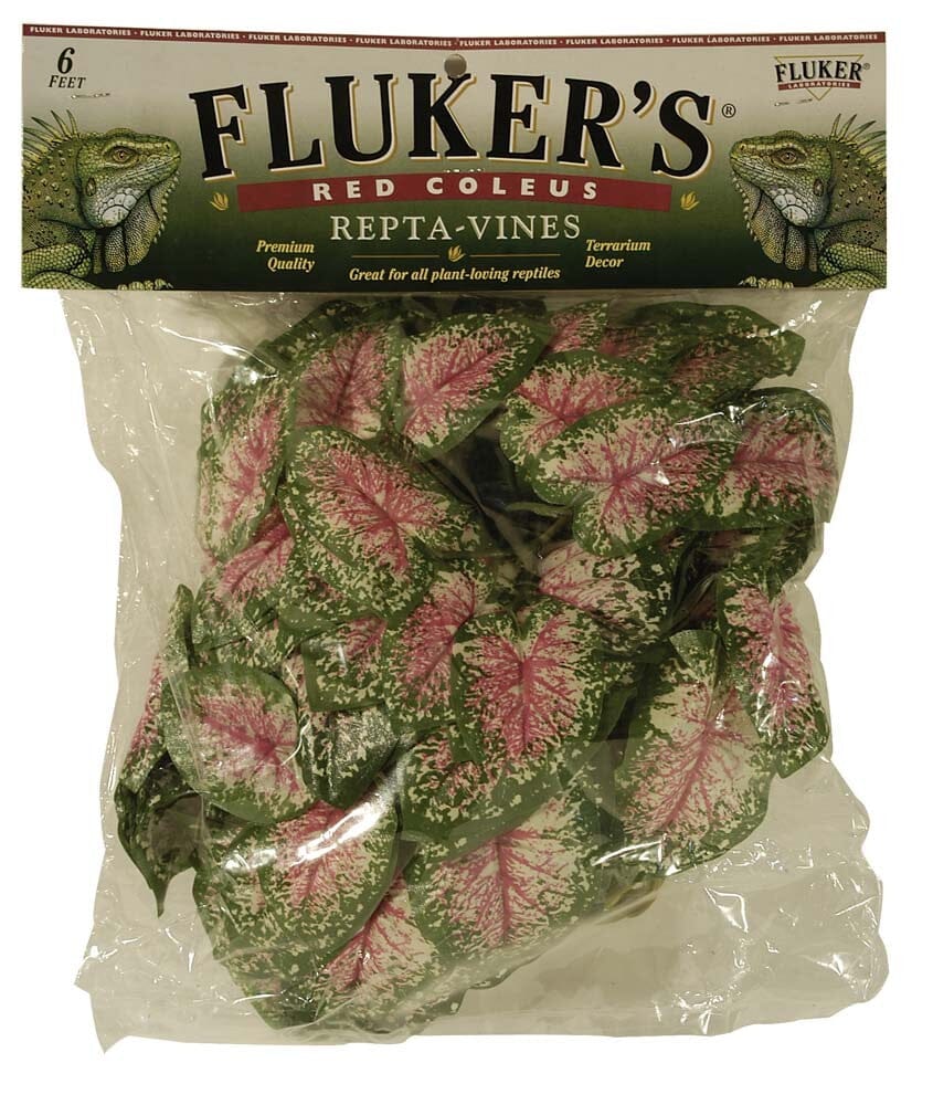 Fluker's Repta-Vines - Red Coleus - 6