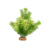 Fluval AquaLife Green Cabomba Plastic Plant Aquarium Décor - 8 Inch Default Title