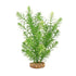 Fluval AquaLife Green Myriophyllum Plastic Plant Aquarium Décor 10 Inch