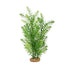 Fluval AquaLife Green Myriophyllum Plastic Plant Aquarium Décor 14 Inch